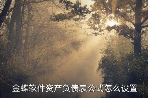 金蝶數(shù)據(jù)貸款,金蝶卷煙廠貸款分類