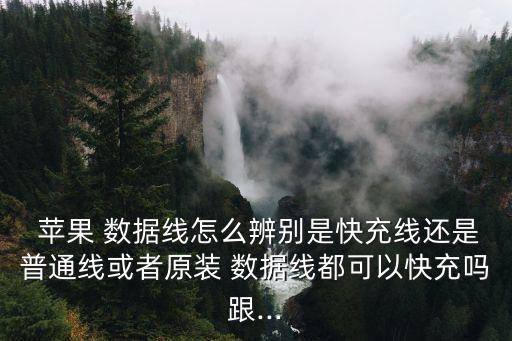  蘋果 數(shù)據(jù)線怎么辨別是快充線還是普通線或者原裝 數(shù)據(jù)線都可以快充嗎跟...