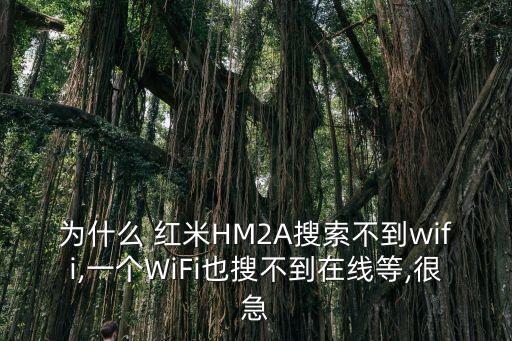 為什么 紅米HM2A搜索不到wifi,一個(gè)WiFi也搜不到在線等,很急