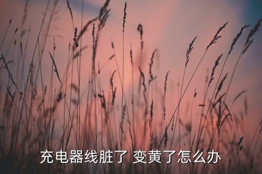 蘋果數(shù)據(jù)線為什么變黃