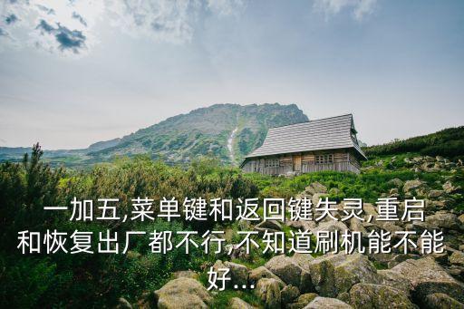  一加五,菜單鍵和返回鍵失靈,重啟和恢復(fù)出廠都不行,不知道刷機能不能好...
