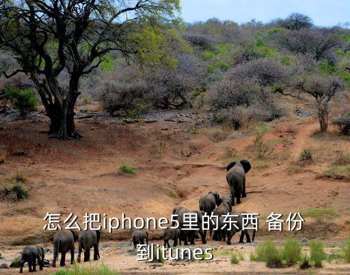 怎么把iphone5里的東西 備份到itunes