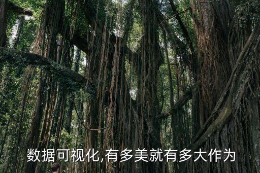  數(shù)據(jù)可視化,有多美就有多大作為