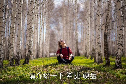 希捷硬盤07數(shù)據(jù)