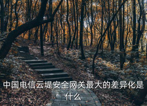 中國電信云堤安全網(wǎng)關(guān)最大的差異化是什么