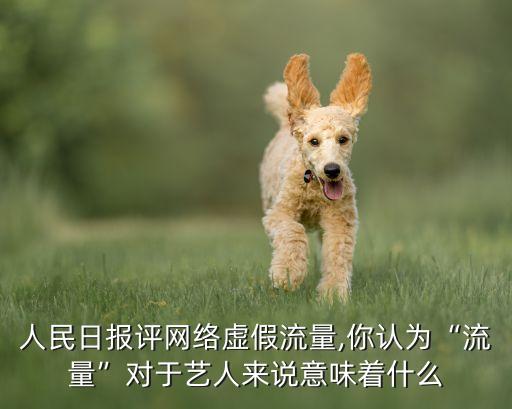 人民日?qǐng)?bào)評(píng)網(wǎng)絡(luò)虛假流量,你認(rèn)為“流量”對(duì)于藝人來說意味著什么