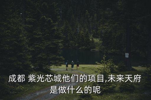 紫光收購斐訊大數(shù)據(jù)