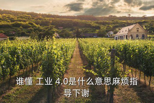 誰懂 工業(yè) 4.0是什么意思麻煩指導(dǎo)下謝