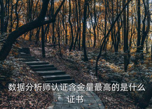  數(shù)據(jù)分析師認證含金量最高的是什么證書