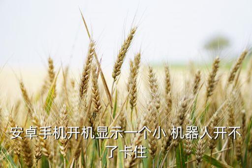 安卓手機(jī)開機(jī)顯示一個(gè)小 機(jī)器人開不了卡住