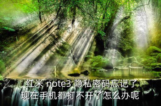  紅米 note3 隱私密碼忘記了現(xiàn)在手機(jī)都打不開了怎么辦呢