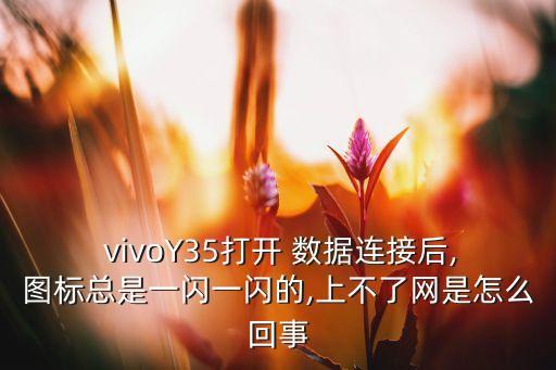 vivo數(shù)據(jù)一直閃,ViVo手機(jī)導(dǎo)數(shù)據(jù)