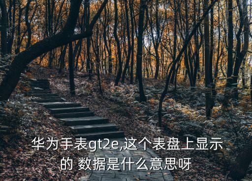  華為手表gt2e,這個(gè)表盤(pán)上顯示的 數(shù)據(jù)是什么意思呀