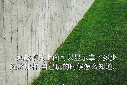 ...觀戰(zhàn)模式上面可以顯示拿了多少經(jīng)濟(jì)那樣,自己玩的時候怎么知道...