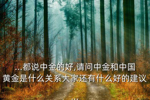 ...都說中金的好,請問中金和中國黃金是什么關系大家還有什么好的建議...