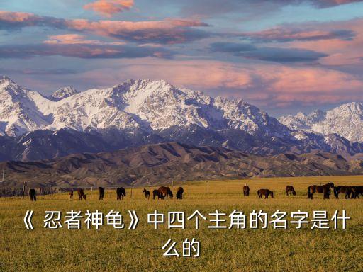 《 忍者神龜》中四個(gè)主角的名字是什么的