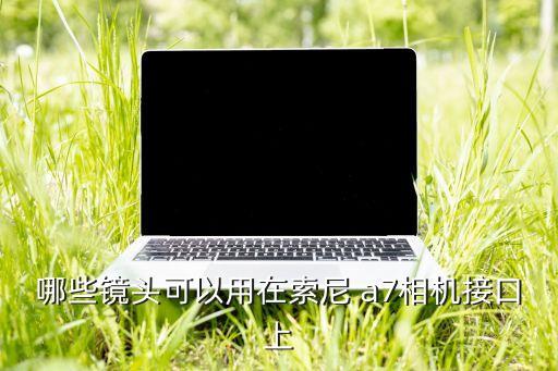 a7自動(dòng)對(duì)焦 轉(zhuǎn)接環(huán),佳能m轉(zhuǎn)接環(huán)能自動(dòng)對(duì)焦嗎