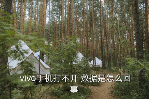  vivo手機(jī)打不開 數(shù)據(jù)是怎么回事
