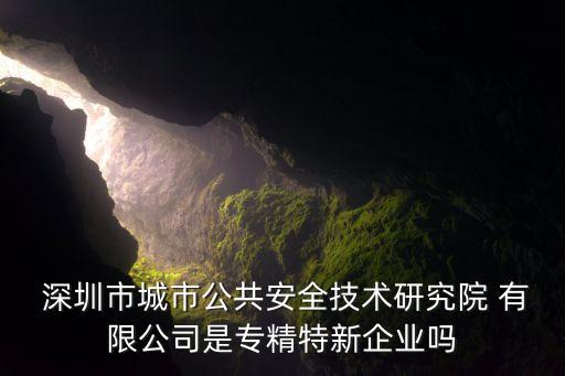  深圳市城市公共安全技術研究院 有限公司是專精特新企業(yè)嗎
