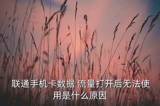  聯(lián)通手機(jī)卡數(shù)據(jù) 流量打開后無法使用是什么原因