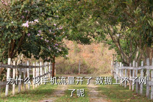 有移動數(shù)據(jù)但是上不了怎么回事啊