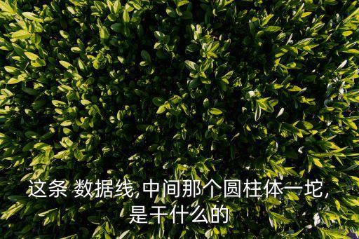 這條 數(shù)據(jù)線,中間那個圓柱體一坨,是干什么的