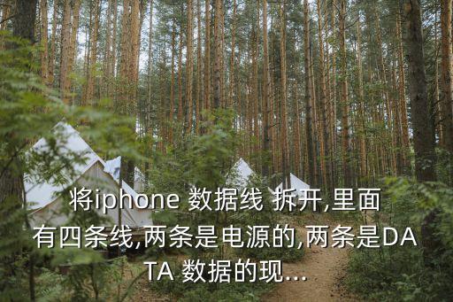 將iphone 數(shù)據(jù)線 拆開,里面有四條線,兩條是電源的,兩條是DATA 數(shù)據(jù)的現(xiàn)...
