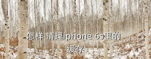 怎樣 清理iphone 6s里的 緩存