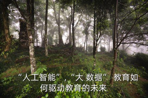 “人工智能”,“大 數(shù)據(jù)” 教育如何驅(qū)動(dòng)教育的未來