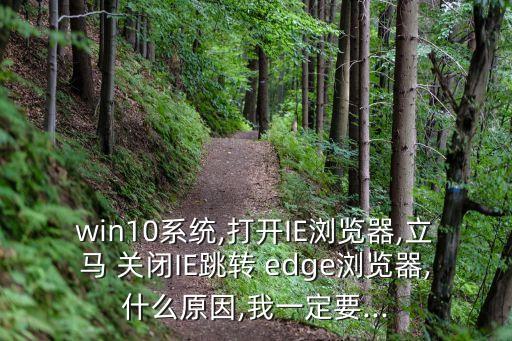 win10系統(tǒng),打開IE瀏覽器,立馬 關(guān)閉IE跳轉(zhuǎn) edge瀏覽器,什么原因,我一定要...