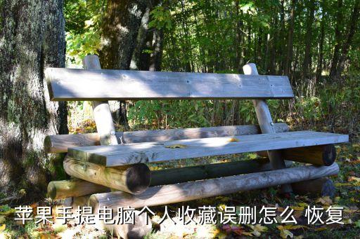 蘋果手提電腦個人收藏誤刪怎么 恢復(fù)