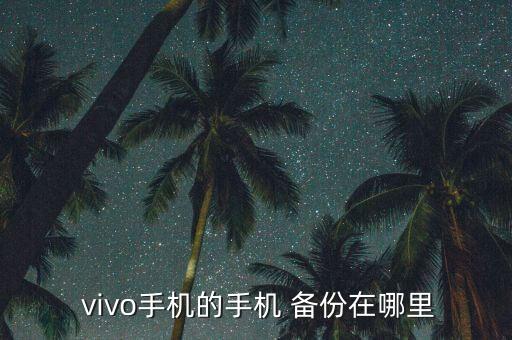 vivo怎么備份應(yīng)用數(shù)據(jù)