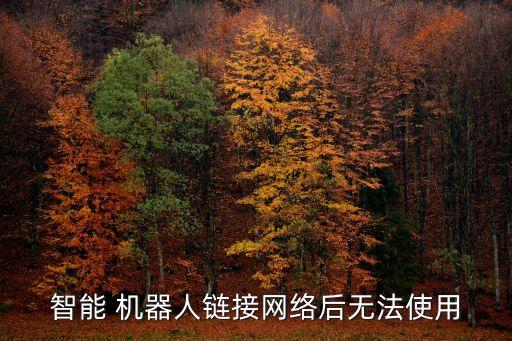 智能 機(jī)器人鏈接網(wǎng)絡(luò)后無(wú)法使用