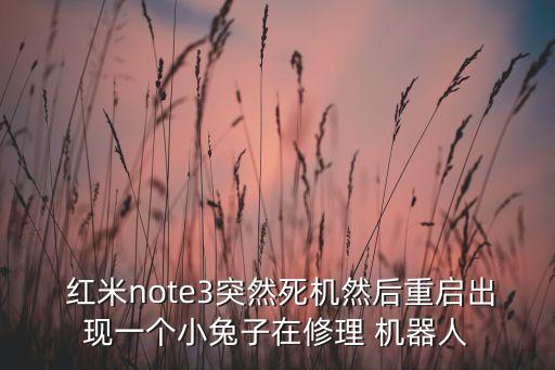 紅米開(kāi)機(jī)過(guò)程中出現(xiàn)了一個(gè)機(jī)器人