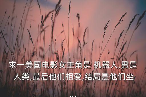 求一美國電影女主角是 機(jī)器人,男是 人類,最后他們相愛,結(jié)局是他們坐...
