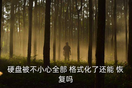 硬盤被不小心全部 格式化了還能 恢復嗎