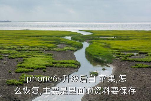 iphone6s升級后白 蘋果,怎么恢復,主要是里面的資料要保存