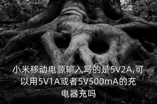 小米移動(dòng)電源輸入寫的是5V2A,可以用5V1A或者5V500mA的充電器充嗎