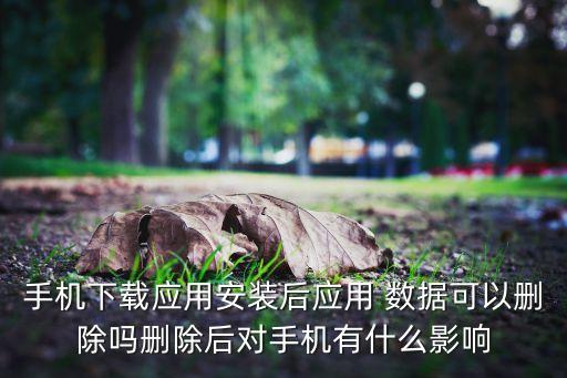 手機下載應用安裝后應用 數(shù)據(jù)可以刪除嗎刪除后對手機有什么影響