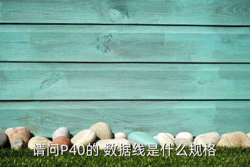 請問P40的 數(shù)據(jù)線是什么規(guī)格