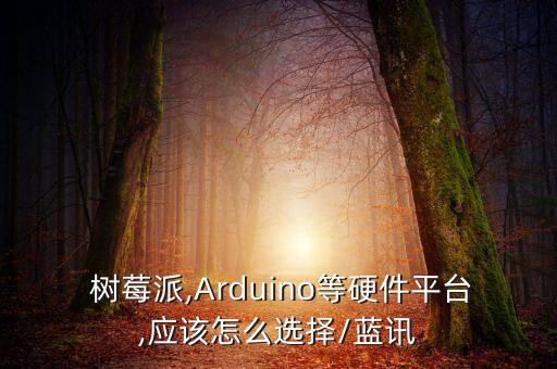  樹莓派,Arduino等硬件平臺(tái),應(yīng)該怎么選擇/藍(lán)訊