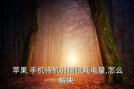  蘋(píng)果 手機(jī)待機(jī)時(shí)間很耗電量,怎么解決