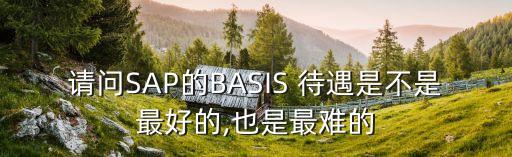 請(qǐng)問(wèn)SAP的BASIS 待遇是不是最好的,也是最難的