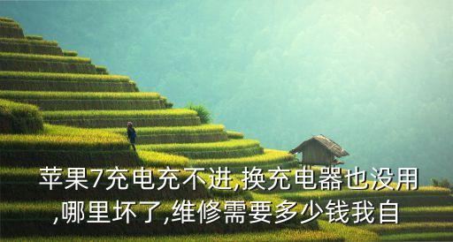  蘋(píng)果7充電充不進(jìn),換充電器也沒(méi)用,哪里壞了,維修需要多少錢(qián)我自
