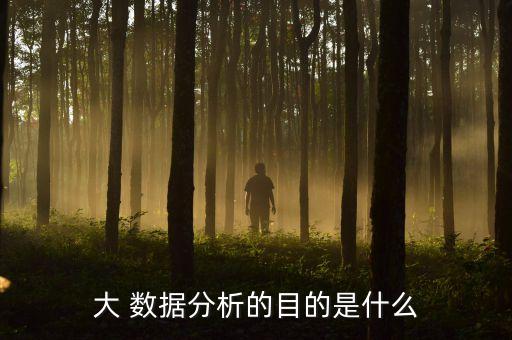 數(shù)據(jù)分析原因,庫(kù)存量大的數(shù)據(jù)分析原因