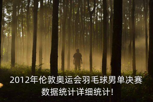 2012年倫敦奧運會羽毛球男單決賽 數據統(tǒng)計詳細統(tǒng)計!