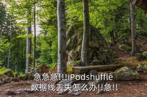 急急急!!!iPodshuffle 數(shù)據(jù)線丟失怎么辦!!急!!