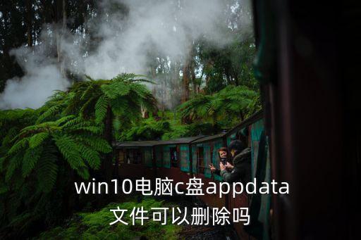  win10電腦c盤appdata文件可以刪除嗎