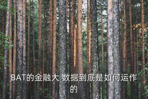 BAT的金融大 數(shù)據(jù)到底是如何運作的