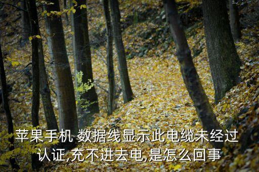 非認證數(shù)據(jù)線不充電,蘋果沒有認證的數(shù)據(jù)線充電會有提示嗎